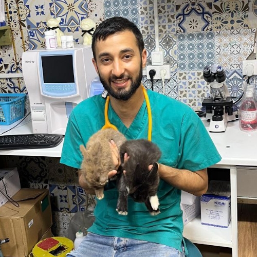 محمد علي - طبيب بيطري في Asem Vet